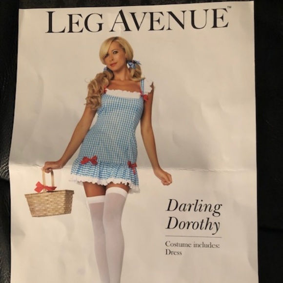 Darling Dorothy Costume - Picture 1 of 2
